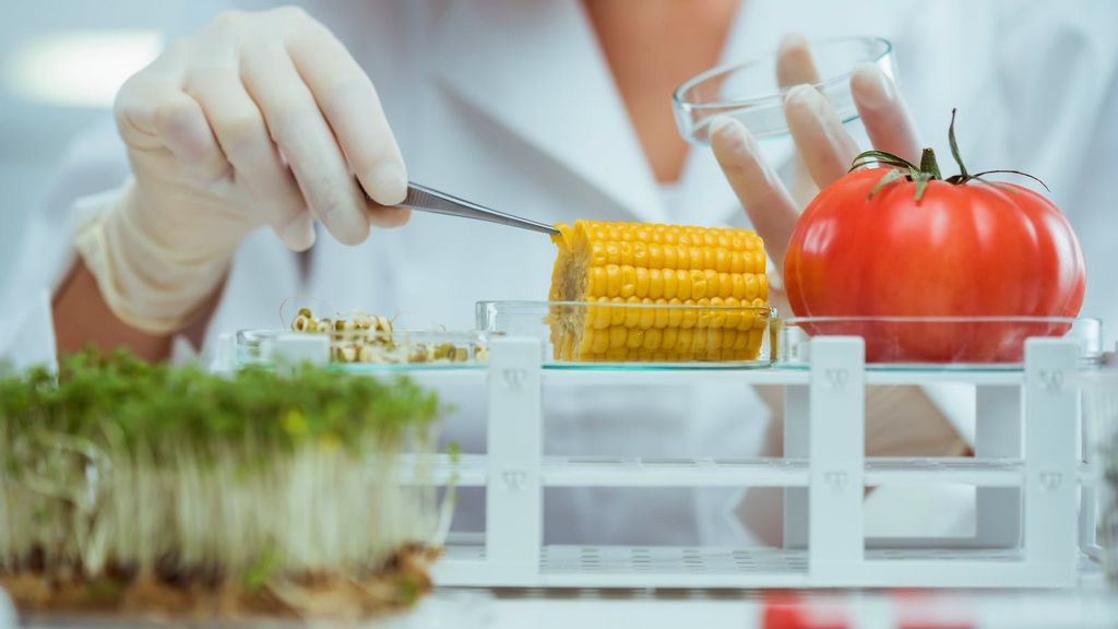 Токсикологический контроль пищевых продуктов BiKP23