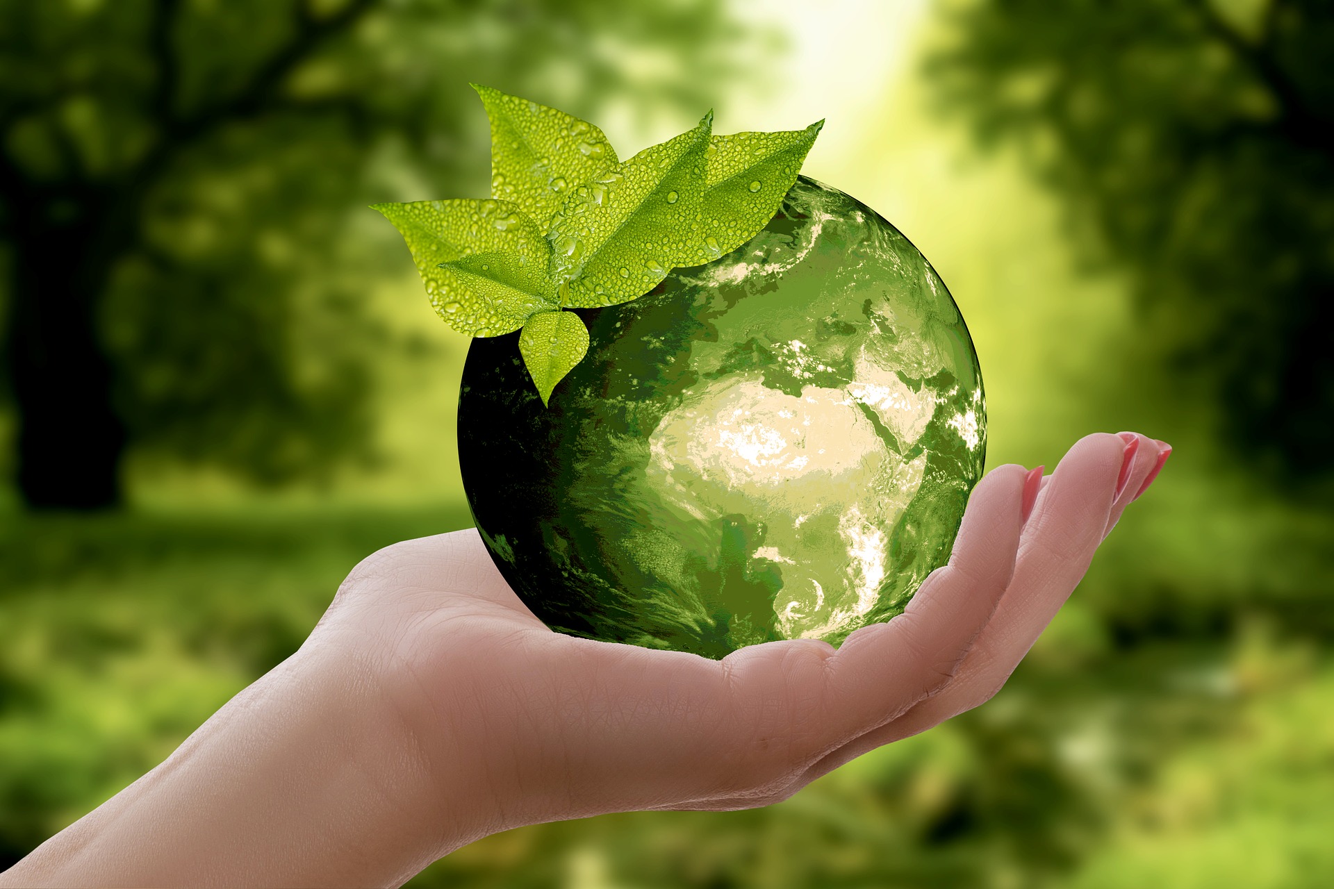 Экология и устойчивое развитие HHTiE01
